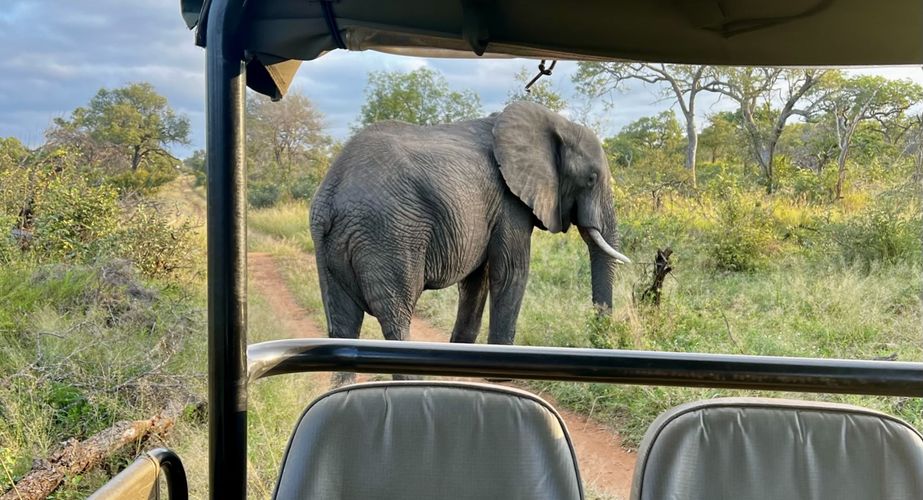 Kruger NP olifanten Zuid Afrika groepsrondreis 13